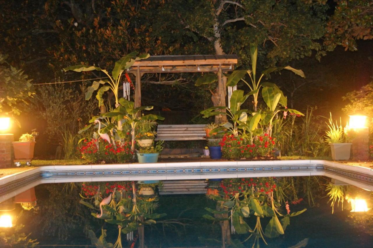 Poolside Paradise
