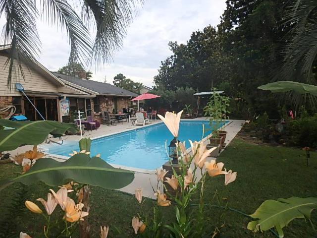 Homestay Poolside Paradise
