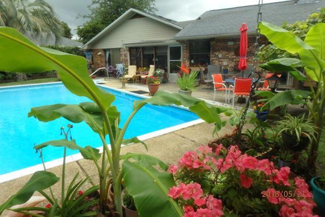 Poolside Paradise Homestay